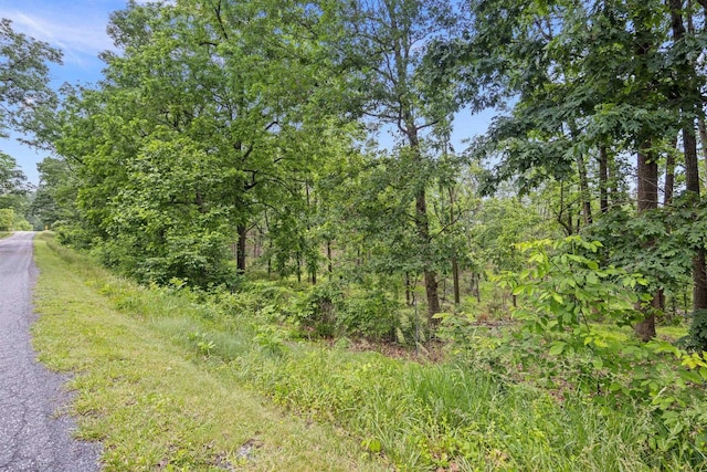 6596 Mayberry Rd, Singers Glen, VA 22850 - view of undeveloped land