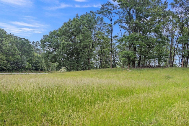 6596 Mayberry Rd, Singers Glen, VA 22850 - view of nature