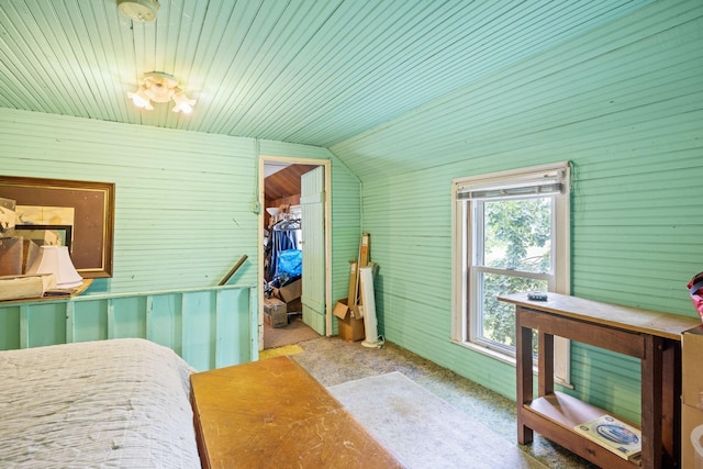 6596 Mayberry Rd, Singers Glen, VA 22850 - bedroom with a spacious closet, vaulted ceiling, and a closet
