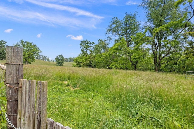 6596 Mayberry Rd, Singers Glen, VA 22850 - view of yard