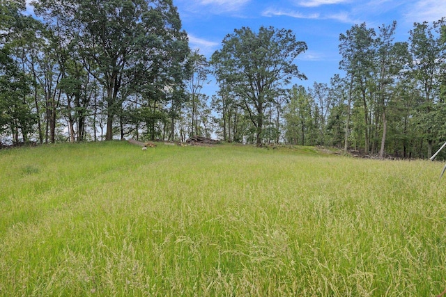 6596 Mayberry Rd, Singers Glen, VA 22850 - view of yard