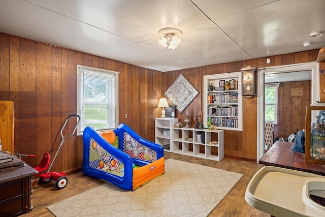 6596 Mayberry Rd, Singers Glen, VA 22850 - rec room featuring plenty of natural light, wood walls, and wood finished floors