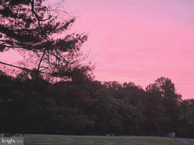  - view of nature at dusk