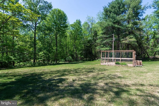  - view of grassy yard with a view of trees