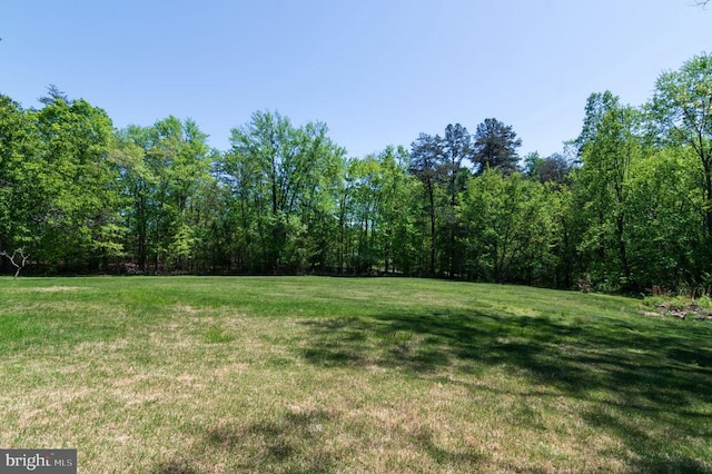  - view of grassy yard with a view of trees