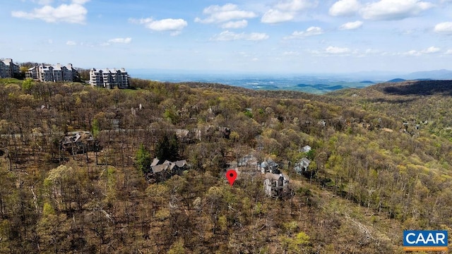 Rosebay Ln, Wintergreen Resort, VA 22967