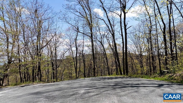 Rosebay Ln, Wintergreen Resort, VA 22967