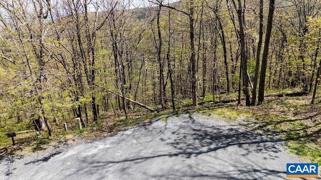 Rosebay Ln, Wintergreen Resort, VA 22967