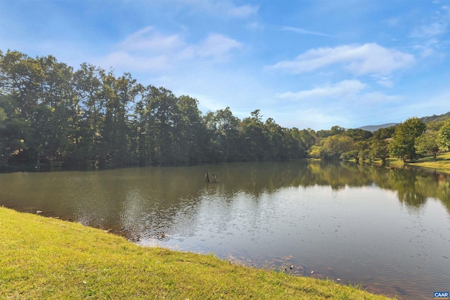 water view featuring a view of trees
