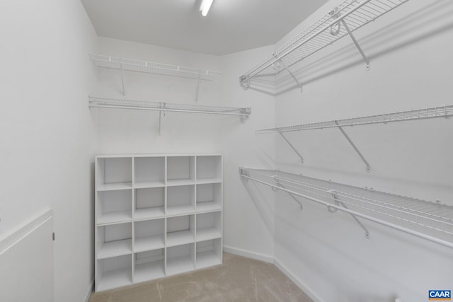 walk in closet featuring carpet floors
