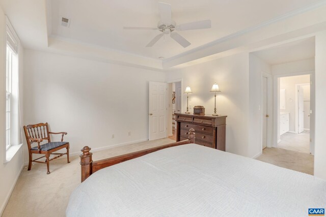 bedroom with carpet, multiple windows, and a raised ceiling