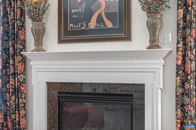 details with a glass covered fireplace