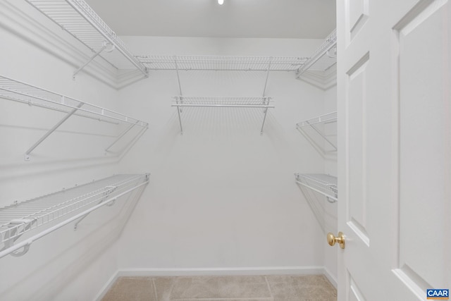 view of walk in closet