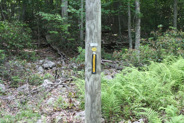 High Valley S, Monterey, VA 24465