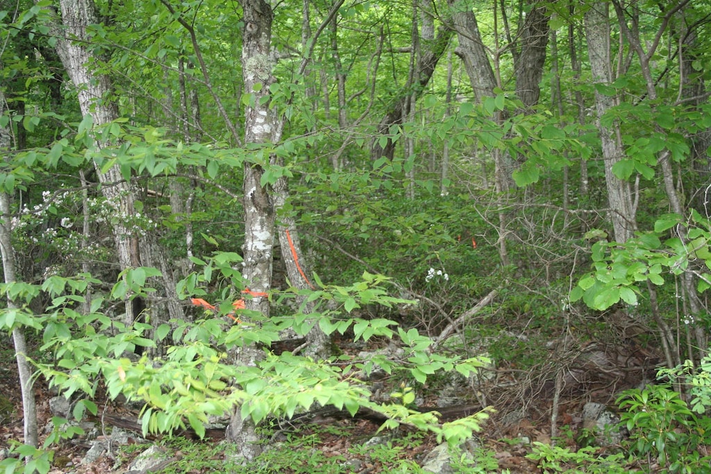 High Valley S, Monterey, VA 24465