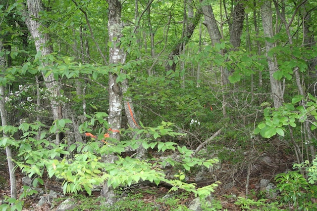 High Valley S, Monterey, VA 24465