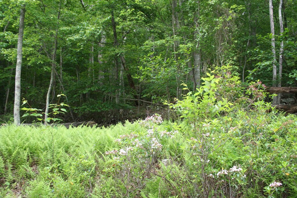 High Valley S, Monterey, VA 24465