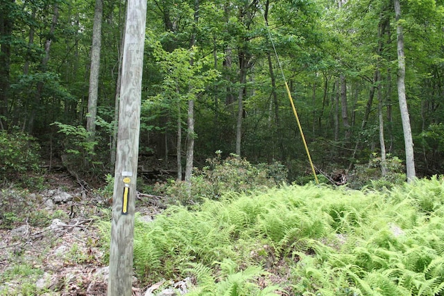 High Valley S, Monterey, VA 24465