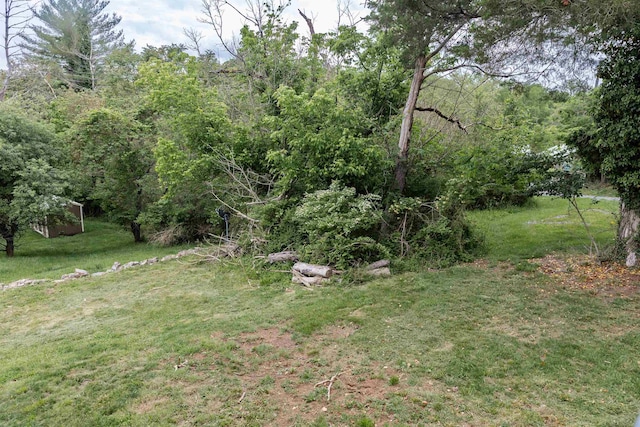 708 Mccorkle Dr, Lexington, VA 24450 - view of green lawn with a wooded view