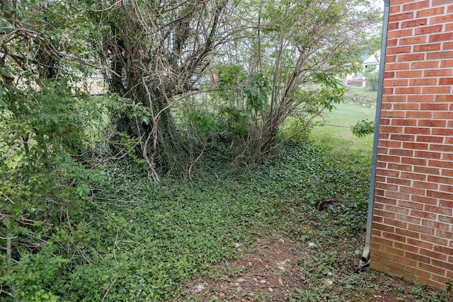708 Mccorkle Dr, Lexington, VA 24450 - view of yard