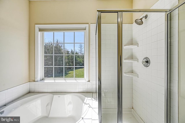 26368 Pennfields Dr, Orange, VA 22960 - full bathroom with a garden tub, a shower stall, and plenty of natural light