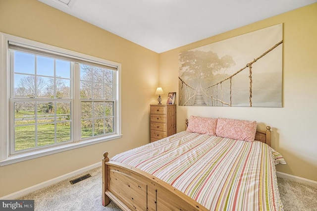 26368 Pennfields Dr, Orange, VA 22960 - bedroom with baseboards, multiple windows, visible vents, and carpet floors