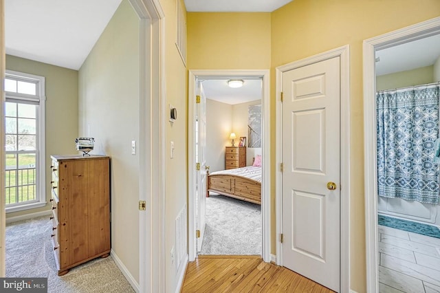 26368 Pennfields Dr, Orange, VA 22960 - hallway featuring plenty of natural light, visible vents, baseboards, and light wood-style floors