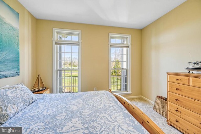 26368 Pennfields Dr, Orange, VA 22960 - photo 29