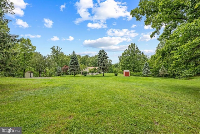  - view of grassy yard featuring a storage shed and a forest view
