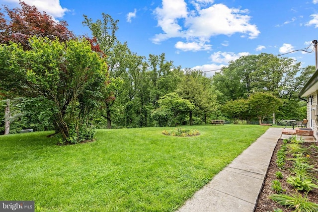  - view of grassy yard