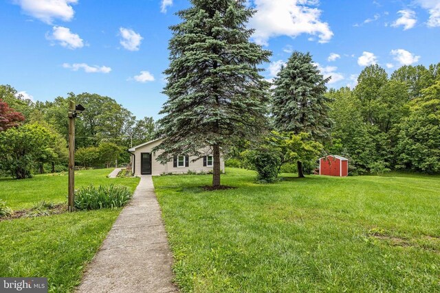  - view of grassy yard with a storage shed