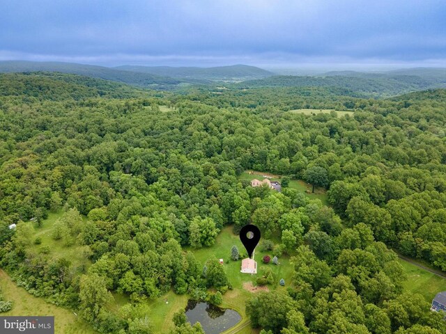  - aerial view of a forest
