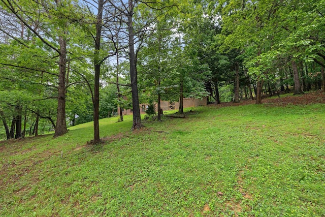 409 Thomas St, Staunton, VA 24401 - view of green lawn