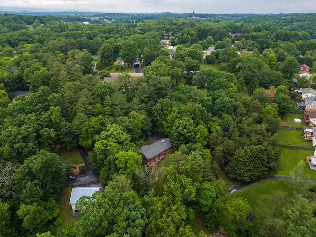 409 Thomas St, Staunton, VA 24401 - aerial view of a forest