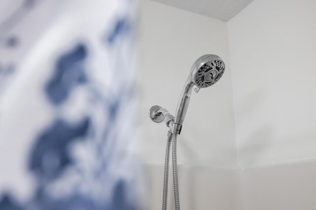 409 Thomas St, Staunton, VA 24401 - bathroom view of a shower