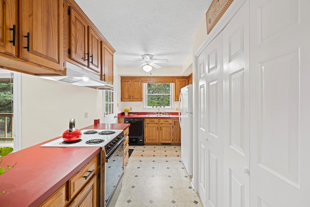 409 Thomas St, Staunton, VA 24401 - kitchen with a sink, range with electric stovetop, black dishwasher, freestanding refrigerator, and brown cabinets