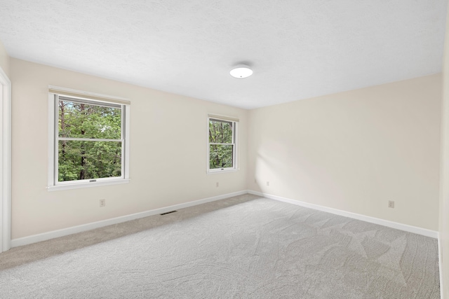 409 Thomas St, Staunton, VA 24401 - empty room featuring baseboards, healthy amount of natural light, and carpet floors