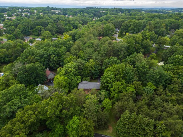 409 Thomas St, Staunton, VA 24401 - view of property location featuring a heavily wooded area