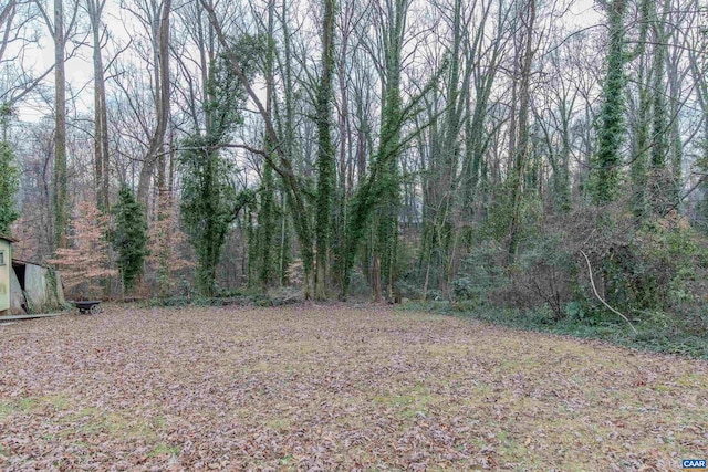 202 Raymond Ave, Charlottesville, VA 22903 - photo 8