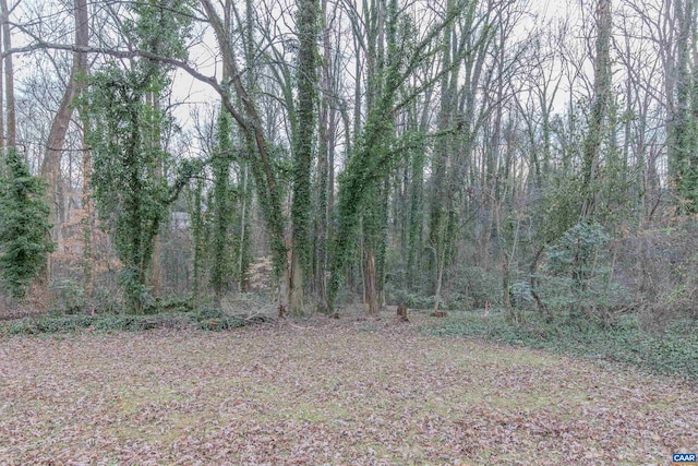 202 Raymond Ave, Charlottesville, VA 22903 - photo 7