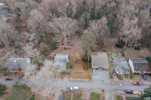 202 Raymond Ave, Charlottesville, VA 22903 - photo 10