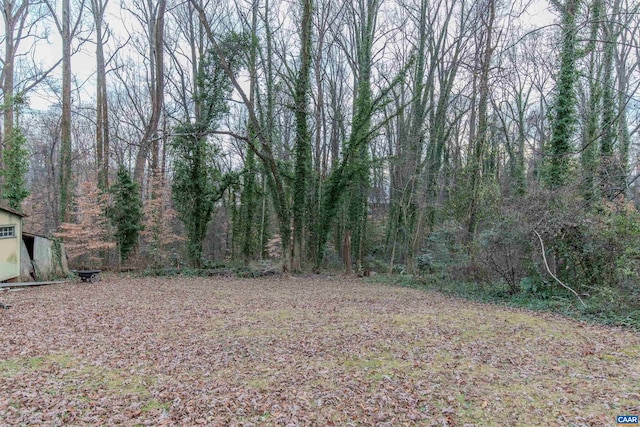 202 Raymond Ave, Charlottesville, VA 22903 - photo 16