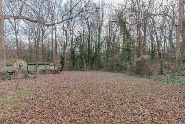 202 Raymond Ave, Charlottesville, VA 22903 - photo 11