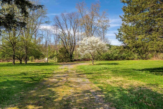 00 Massanetta Springs Rd, Rockingham, VA 22801