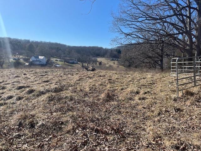 TBD Spitler Circle, Greenville, VA 24440