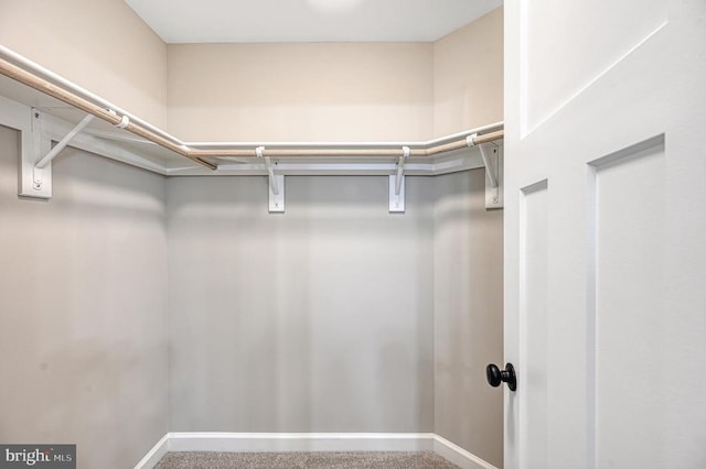 spacious closet with carpet floors