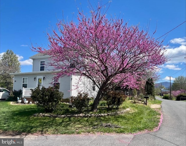 206 Woodland Ave, Luray, VA 22835 - photo 2