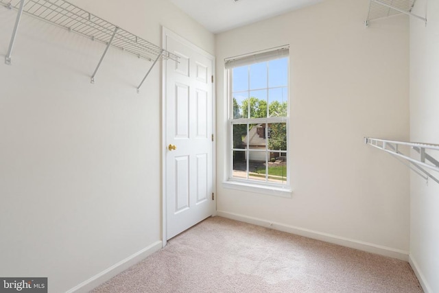 12303 Osprey Ln, Culpeper, VA 22701 - spacious closet with light colored carpet