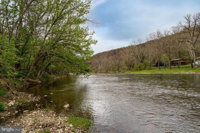 River View Rd, Shenandoah, VA 22849 - photo 23