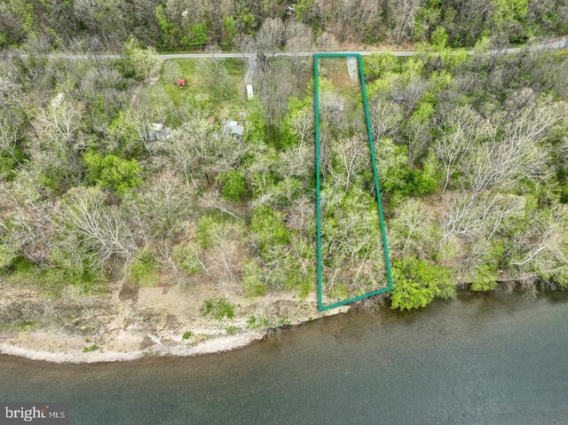 River View Rd, Shenandoah, VA 22849 - photo 3